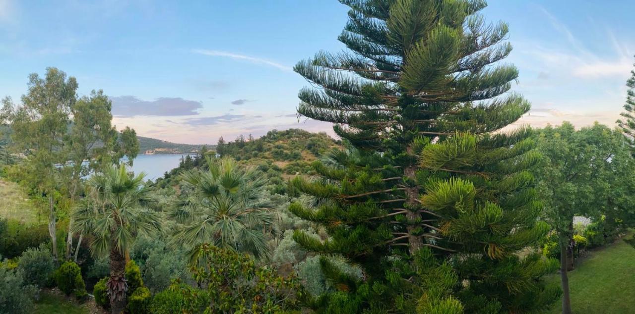 Vkastri Aparthotel Vasiliki  Bagian luar foto